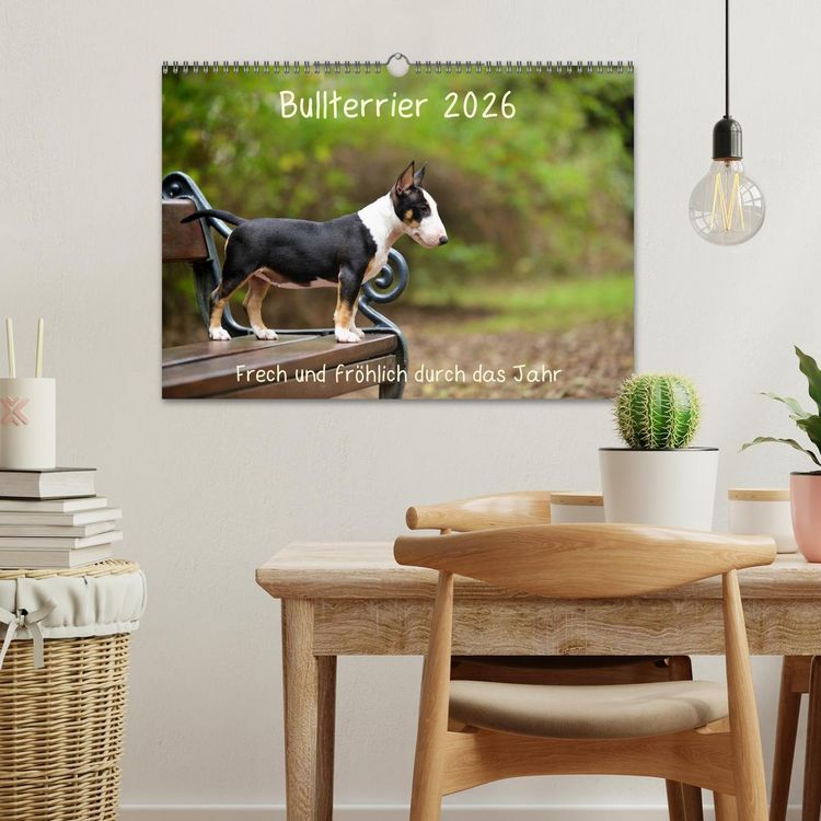 Produktbild: Bullterrier 2026 Frech und fr&ouml;hlich durch das Jahr (Wandkalender 2026 DIN A3 quer), CALVENDO Monatskalender
