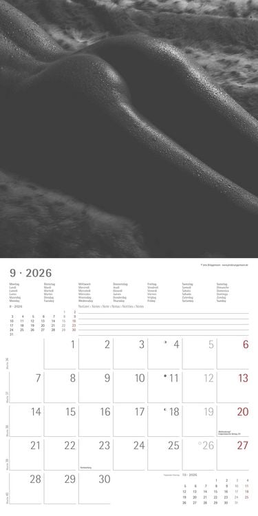 Produktbild: Feminine 2026 - Broschürenkalender 30x30 cm (30x60 geöffnet) - Kalender mit Platz für Notizen - Feminin - Bildkalender - Wandplaner - Erotikkalender