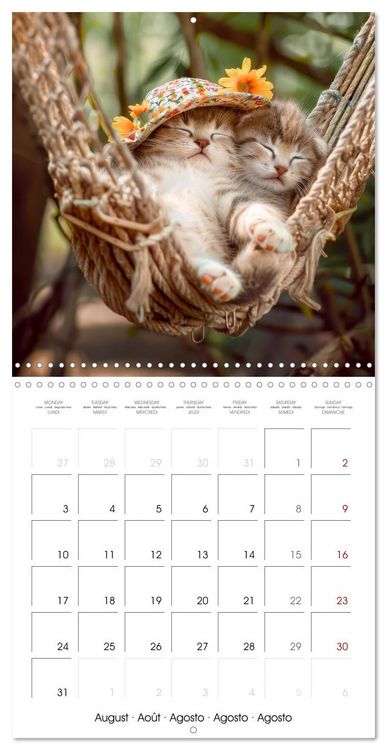 Produktbild: KITTEN Cuteness overload (Wall Calendar 2026 12 &times; 12 Inch) CALVENDO 12 Month Wall Calendar