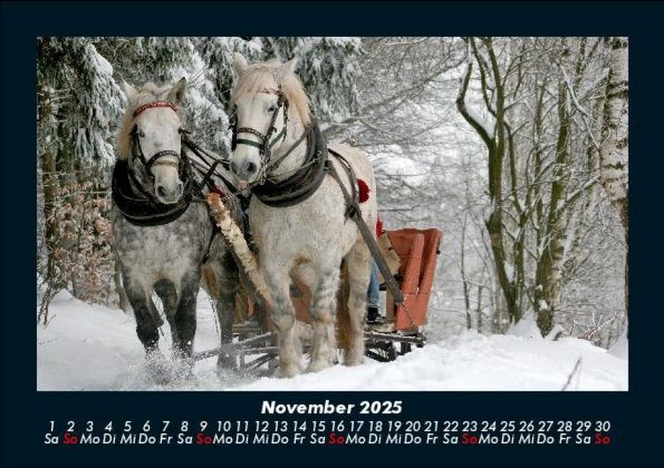 Produktbild: Pferdegefl&uuml;ster 2025 Fotokalender DIN A5