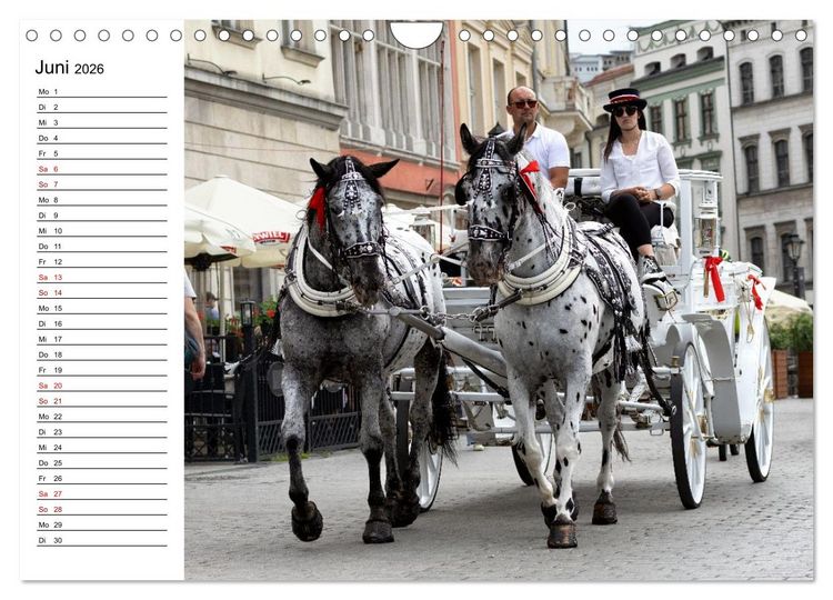 Produktbild: Besucht doch mal Krakau (Wandkalender 2026 DIN A4 quer), CALVENDO Monatskalender