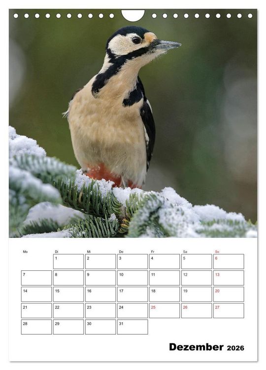 Produktbild: Bezaubernde V&ouml;gel im heimischen Garten (Wandkalender 2026 DIN A4 hoch), CALVENDO Monatskalender