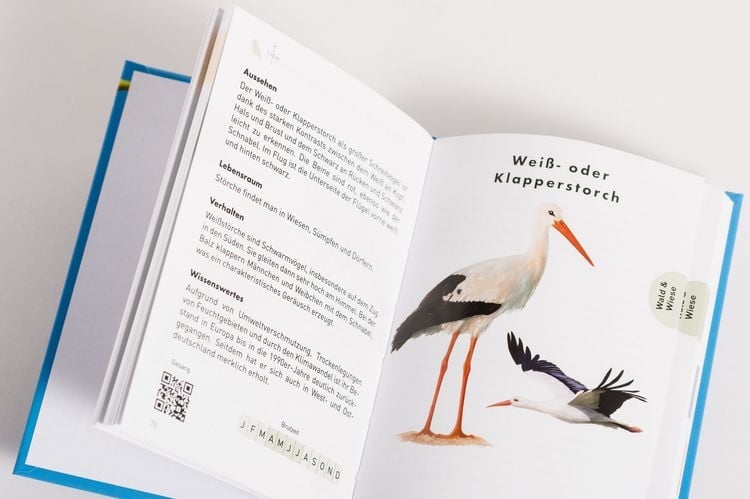 Produktbild: Anaconda Taschenf&uuml;hrer V&ouml;gel. 70 Arten bestimmen und entdecken