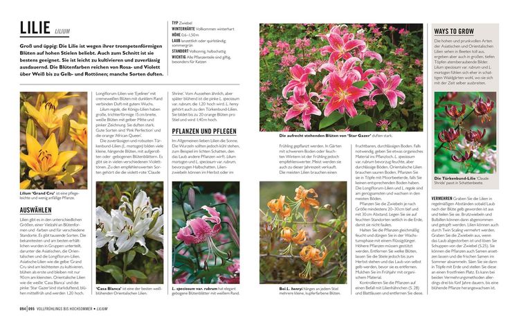 Produktbild: Gr&uuml;nes Gartenwissen. Zwiebel- und Knollenpflanzen