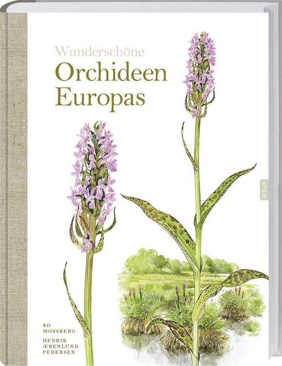 Produktbild: Wundersch&ouml;ne Orchideen Europas