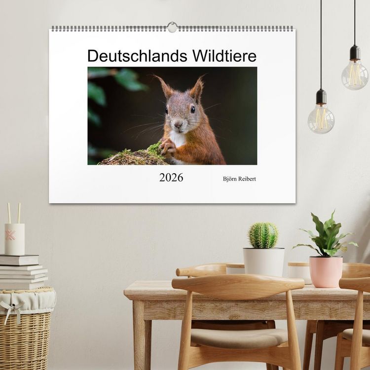 Produktbild: Deutschlands Wildtiere (Wandkalender 2026 DIN A2 quer), CALVENDO Monatskalender