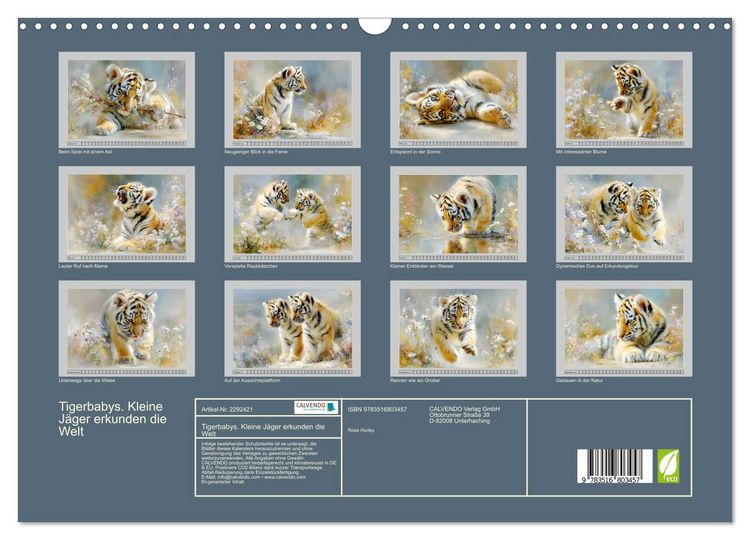 Produktbild: Tigerbabys. Kleine J&auml;ger erkunden die Welt (Wandkalender 2027 DIN A3 quer), CALVENDO Monatskalender