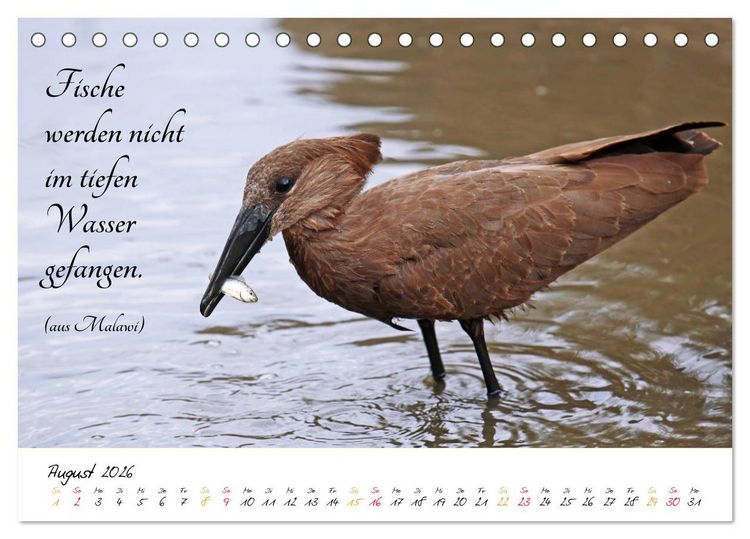 Produktbild: AFRIKA - Kontinent der Poesie (Tischkalender 2026 DIN A5 quer), CALVENDO Monatskalender