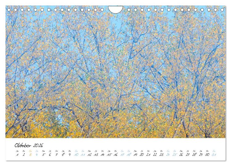 Produktbild: In der Welt der B&auml;ume (Wandkalender 2026 DIN A4 quer), CALVENDO Monatskalender