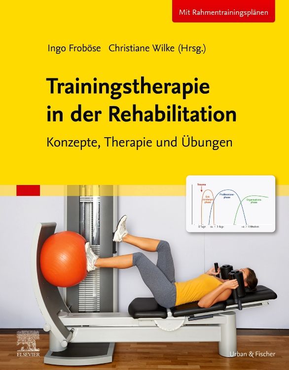 Produktbild: Trainingstherapie in der Rehabilitation