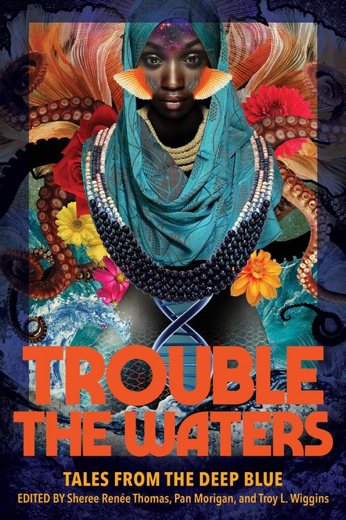 Produktbild: Trouble the Waters