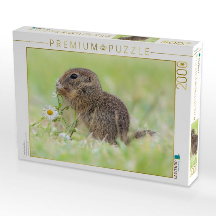 Produktbild: CALVENDO Puzzle Ziesel riecht an Blume | 2000 Teile Lege-Gr&ouml;&szlig;e 90x67cm Foto-Puzzle f&uuml;r gl&uuml;ckliche Stunden