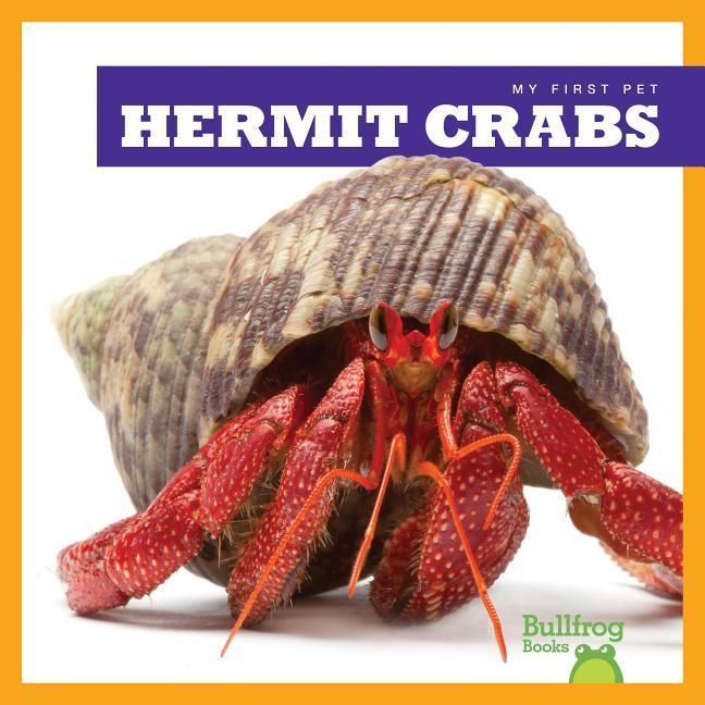 Produktbild: Hermit Crabs