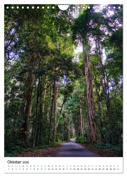 Produktbild: Regenwald - Australien (Wandkalender 2026 DIN A4 hoch), CALVENDO Monatskalender