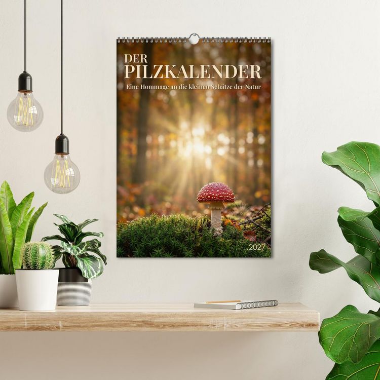 Produktbild: DER PILZKALENDER (Wandkalender 2027 DIN A3 hoch), CALVENDO Monatskalender