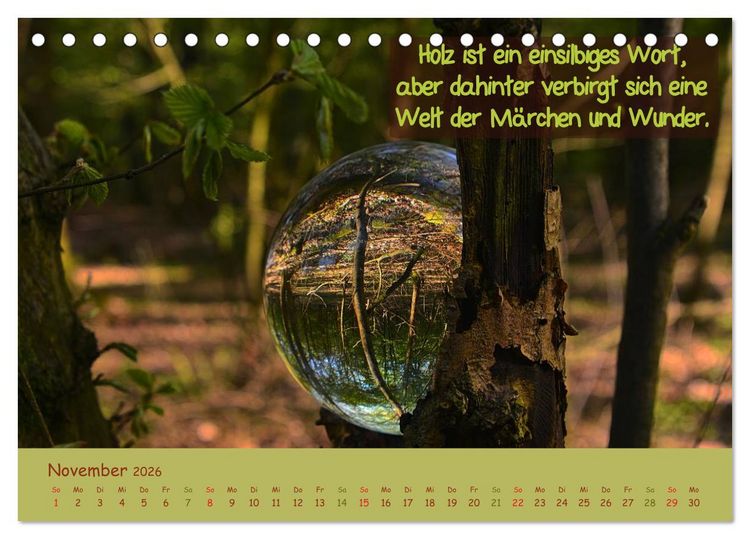 Produktbild: Wunderbare Waldkugeln (Tischkalender 2026 DIN A5 quer), CALVENDO Monatskalender