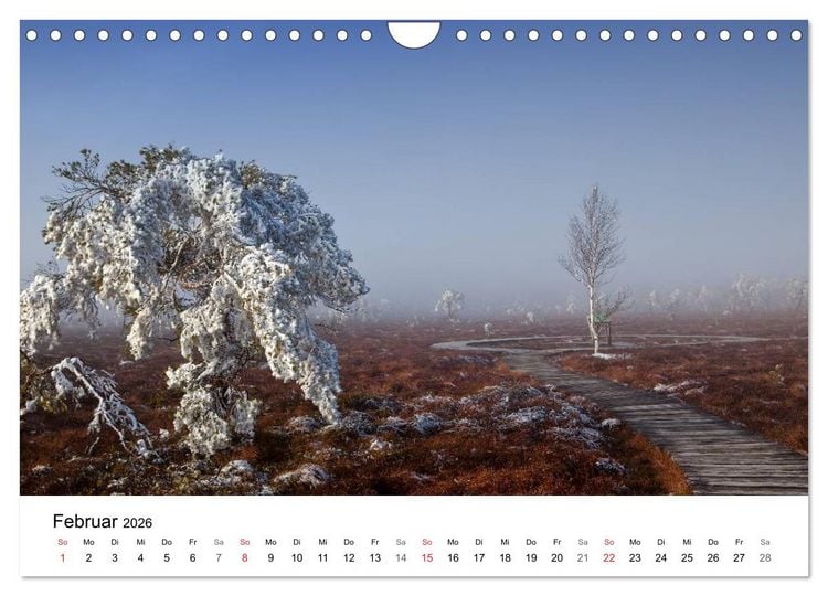 Produktbild: Auf neuen Wegen (Wandkalender 2026 DIN A4 quer), CALVENDO Monatskalender
