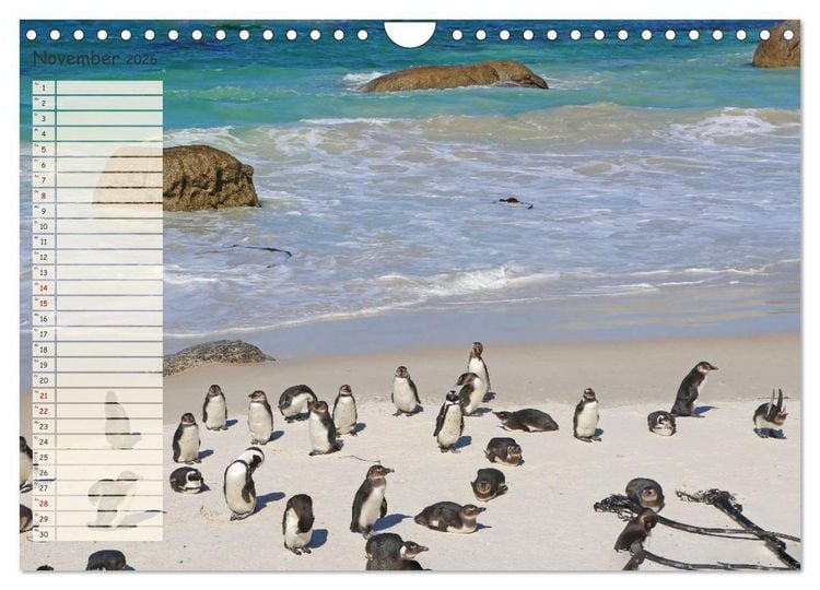 Produktbild: Abenteuer Erde Ein Kalender f&uuml;r Entdecker (Wandkalender 2026 DIN A4 quer), CALVENDO Monatskalender