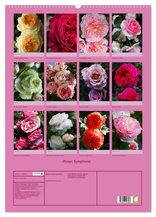 Produktbild: Rosen Symphonie (Wandkalender 2026 DIN A2 hoch), CALVENDO Monatskalender