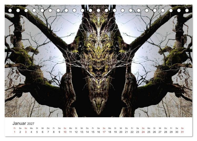 Produktbild: Spiegelwelten - Natur anders sehen (Tischkalender 2027 DIN A5 quer), CALVENDO Monatskalender