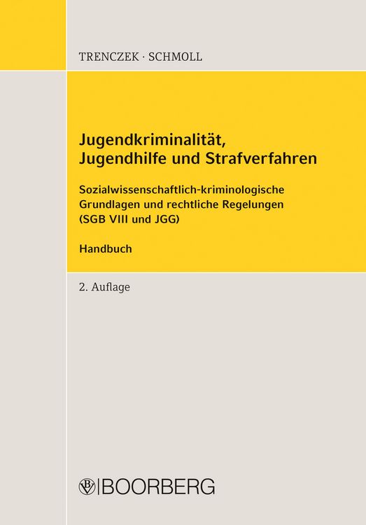 Produktbild: Jugendkriminalit&auml;t, Jugendhilfe und Strafverfahren