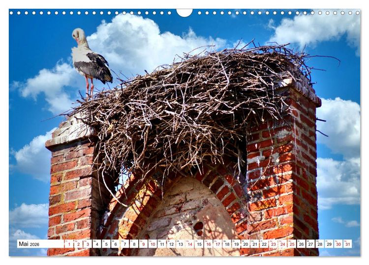 Produktbild: Die Kirche von M&uuml;hlhausen - Ein architektonisches Kleinod in Ostpreu&szlig;en (Wandkalender 2026 DIN A3 quer), CALVENDO Monatskalender