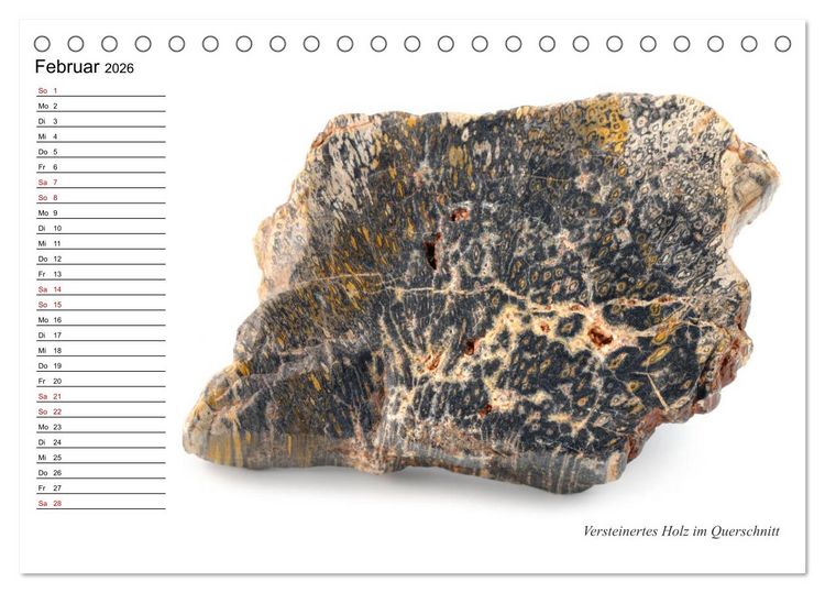 Produktbild: Fossilien - Versteinerte Relikte der Erdzeitalter (Tischkalender 2026 DIN A5 quer), CALVENDO Monatskalender