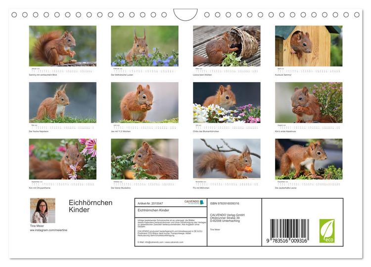Produktbild: Eichh&ouml;rnchen Kinder (Wandkalender 2026 DIN A4 quer), CALVENDO Monatskalender