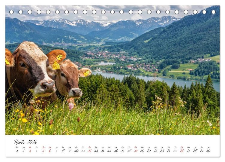 Produktbild: Erlebnis Oberallg&auml;u (Tischkalender 2026 DIN A5 quer), CALVENDO Monatskalender