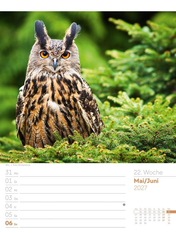 Produktbild: Unser Wald Wochenplaner Kalender 2027