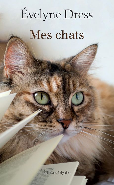 Produktbild: Mes chats