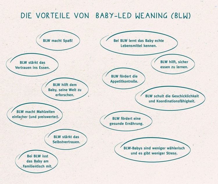 Produktbild: Baby-led Weaning - Das Grundlagenbuch