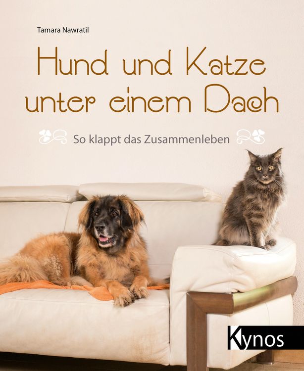 Produktbild: Hund und Katze unter einem Dach