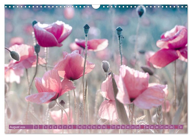 Produktbild: Mohnblumen - Fotografie mit Magie (Wandkalender 2026 DIN A3 quer), CALVENDO Monatskalender