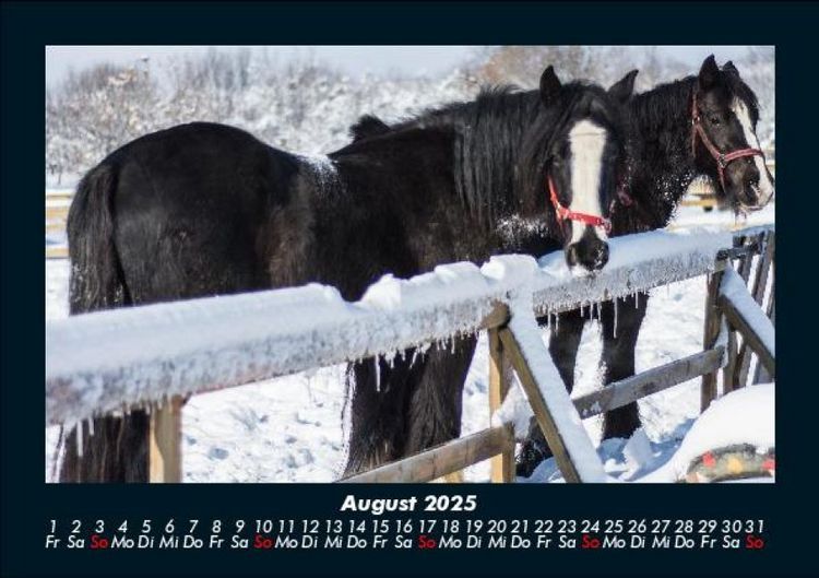 Produktbild: Winterzauber 2025 Fotokalender DIN A5