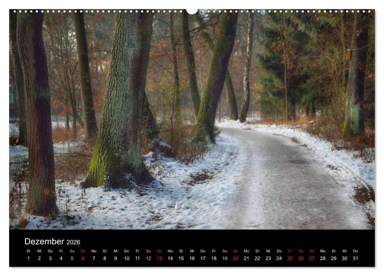 Produktbild: Waldkalender (Wandkalender 2026 DIN A2 quer), CALVENDO Monatskalender