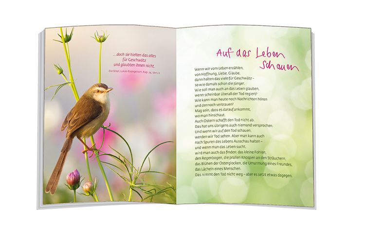 Produktbild: Mit einem Fu&szlig; im Leben