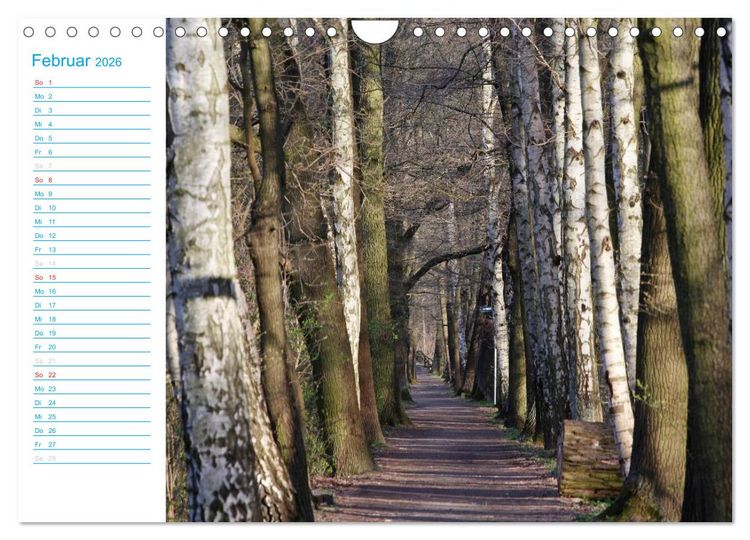 Produktbild: Wundersch&ouml;ner Spreewald (Wandkalender 2026 DIN A4 quer), CALVENDO Monatskalender