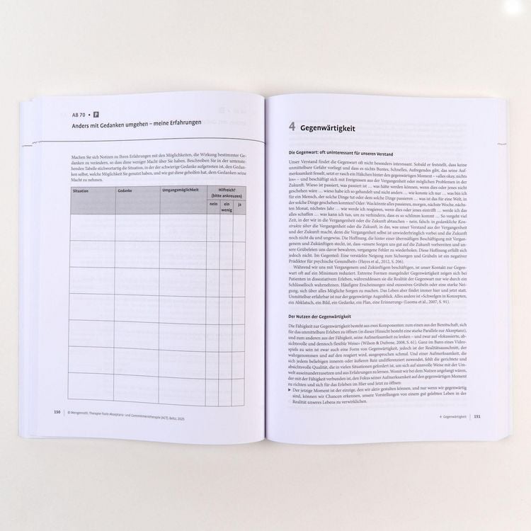 Produktbild: Therapie-Tools Akzeptanz- und Commitmenttherapie (ACT)