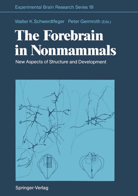 Produktbild: The Forebrain in Nonmammals
