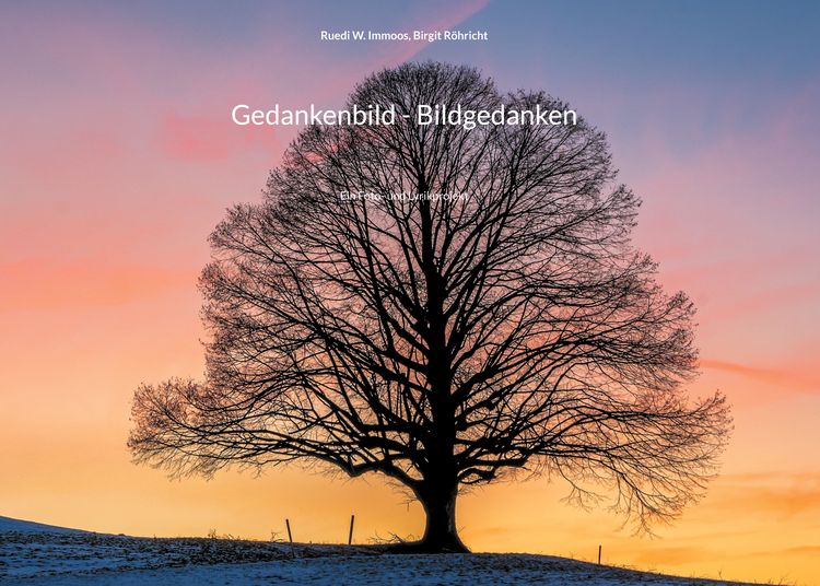 Produktbild: Gedankenbild - Bildgedanken