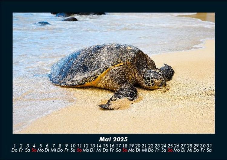 Produktbild: Str&auml;nde der Welt 2025 Fotokalender DIN A5