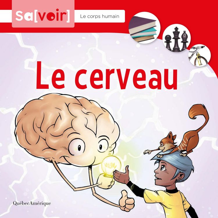 Produktbild: Le cerveau