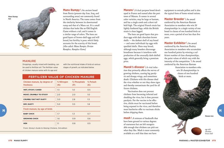 Produktbild: The Chicken Encyclopedia