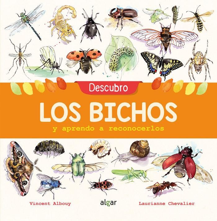 Produktbild: Descubro los bichos y aprendo a reconocerlos