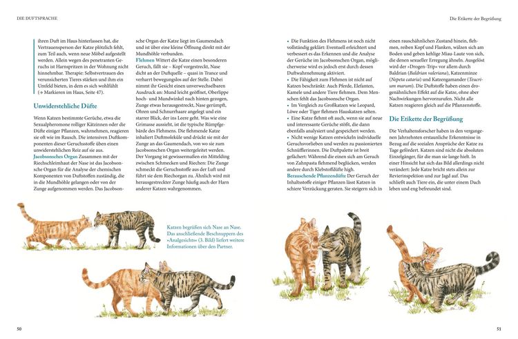 Produktbild: Katzensprache