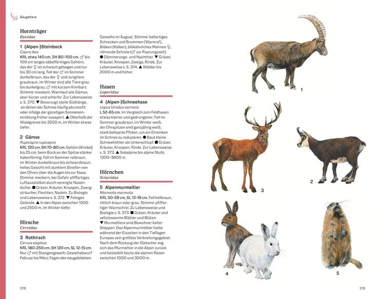 Produktbild: Der illustrierte Naturf&uuml;hrer Alpen