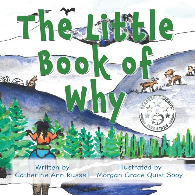 Produktbild: The Little Book of Why