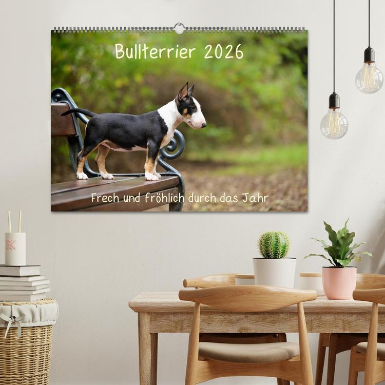 Produktbild: Bullterrier 2026 Frech und fr&ouml;hlich durch das Jahr (Wandkalender 2026 DIN A2 quer), CALVENDO Monatskalender