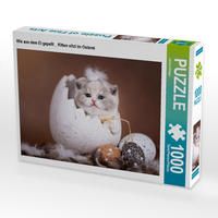 Produktbild: CALVENDO Puzzle Wie aus dem Ei gepellt _ Kitten sitzt im Osterei 1000 Teile Lege-Gr&ouml;&szlig;e 64 x 48 cm Foto-Puzzle Bild von Janina B&uuml;rger